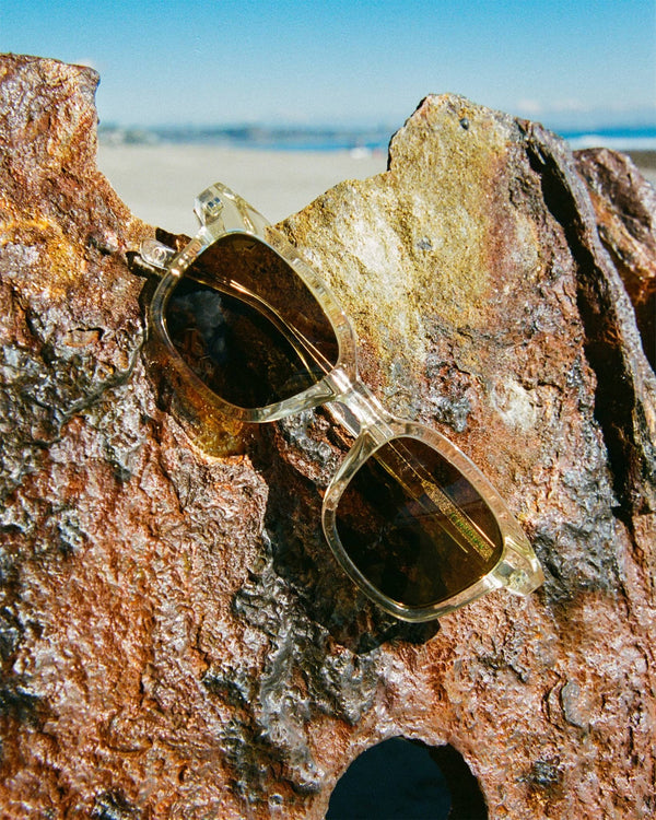 The Dropout Boogie / Crystal Champagne Bio & Polarised Bronze Lens - Shade Files